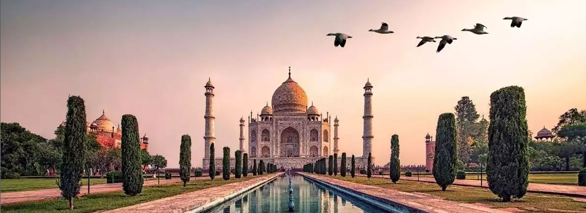 Day trip to Taj Mahal business-class