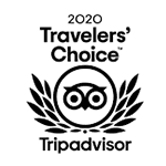 Travelers-Choice-2020